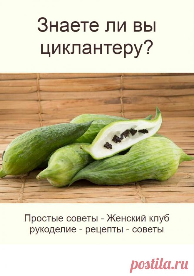 Знаете ли вы циклантеру?