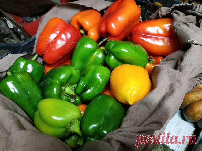 Несколько простых полезных советов, как сохранить урожай овощей и фруктов максимально долго. | Дом цветов | Яндекс Дзен