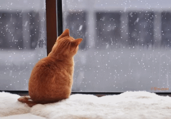 Мой Мир@Mail.Ru