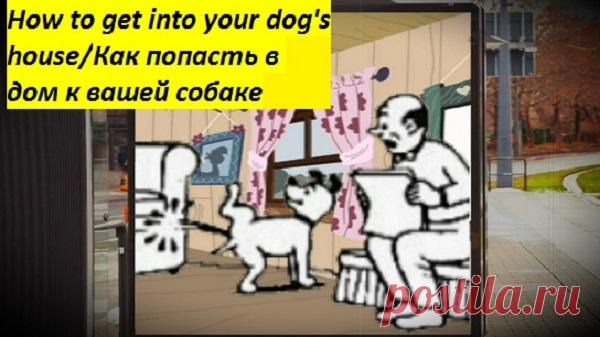 ✔ How to get into your dog's house/✔ Как попасть в дом к вашей собаке