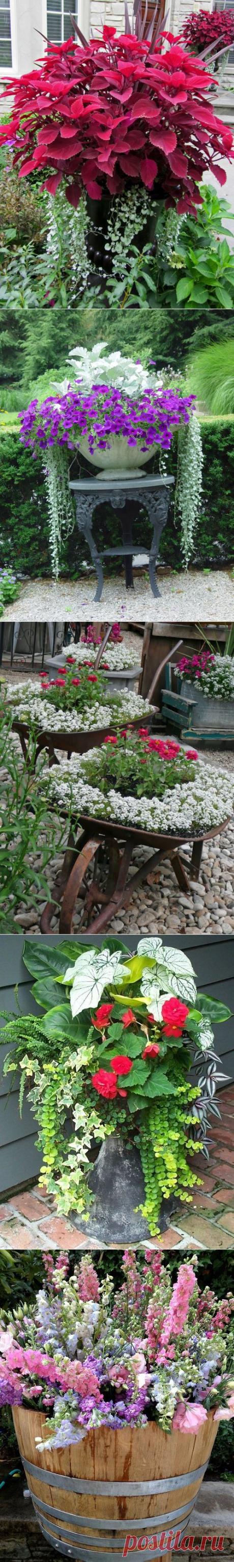 Я приглашаю вас в сад | Самоцветик