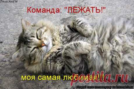kotomatrix_62.jpg (Изображение JPEG, 750 × 499 пикселов)