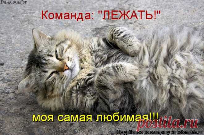 kotomatrix_62.jpg (Изображение JPEG, 750 × 499 пикселов)