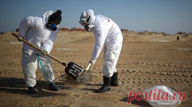 В Анапе обнаружили незначительные выбросы мазута