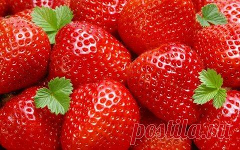Хотите, чтобы клубника одарила вас вкусными ягодами? Есть секретики. Всё расскажу. | РЕЦЕПТЫ ОТ МАМУЛИ | Дзен