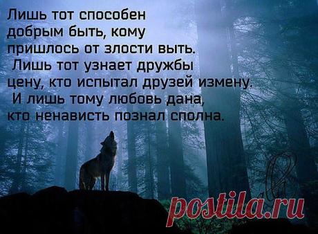 (20) Facebook