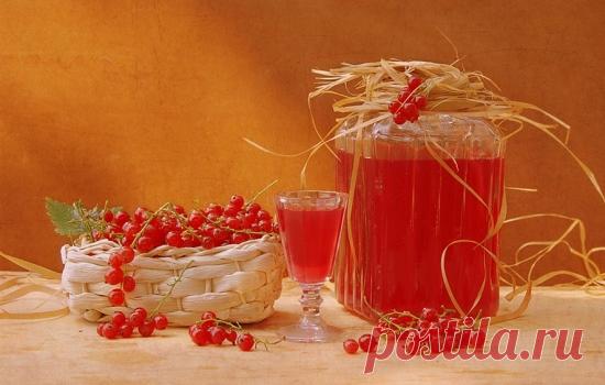 Рецепты домашних наливок из смородины, секреты выбора ингредиентов и