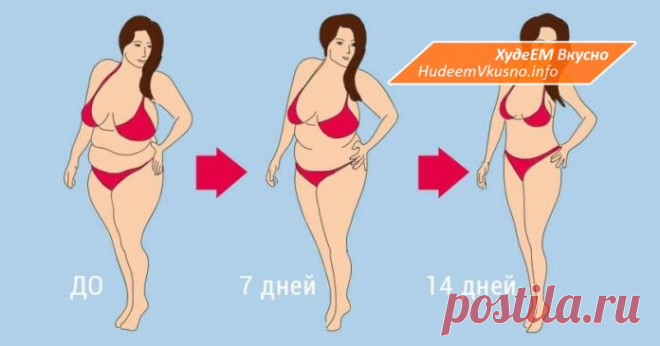 Худеем за две недели. Самый популярный способ сбросить вес! | Худеем Вкусно