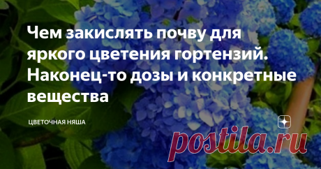 Чем закислять почву для яркого цветения гортензий. Наконец-то дозы и конкретные вещества Статья автора «Цветочная няша» в Дзене ✍: Как только я узнала эту информацию, я сочла своим долгом немедленно поделиться ею со своими читателями.  Всё мы знаем, что гортензии любят кислую почву.