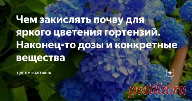 Чем закислять почву для яркого цветения гортензий. Наконец-то дозы и конкретные вещества Статья автора «Цветочная няша» в Дзене ✍: Как только я узнала эту информацию, я сочла своим долгом немедленно поделиться ею со своими читателями.  Всё мы знаем, что гортензии любят кислую почву.