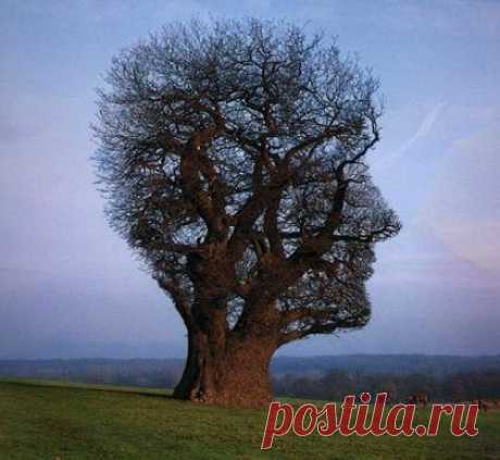 Что происходит с твоим мозгом при недосыпе / Будьте здоровы