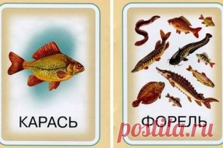 Людмила Никитина