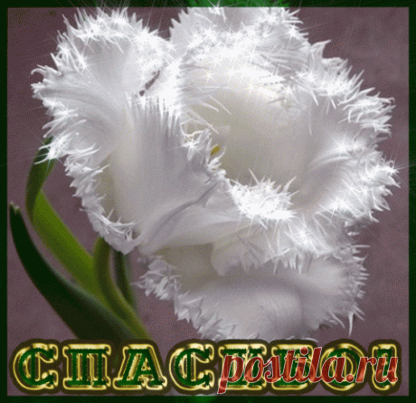 Красивые летние блузки - моделирование выкроек