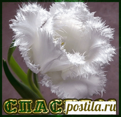 Красивые летние блузки - моделирование выкроек