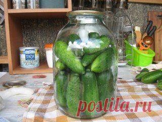 Свежие огурцы на зиму. (Вакуумная упаковка в трехлитровке)

Хочу поделиться с вами простым рецептом,как сохранить свежие овощи и фрукты зимой!