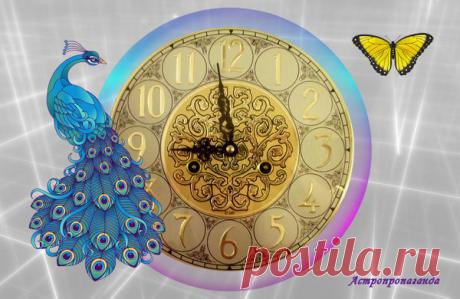 15 ноября 2018. Магия лунных и солнечных суток | Астропропаганда | Яндекс Дзен

Автор: астролог Нина Стрелкова. 15 ноября 2018 года: гадания, магия, символы, сны, приметы, талисманы этого дня. Солнечный день 30-й, символы: Павлин, Часы. Лунный день 8-й и 9-й (с 14 ч. 10 мин.), символы: Уран, Бабочка, Млечный путь. Луна в этот день в Водолее, знаке предвидения. День связан с предупреждением проблем и заблуждений благодаря бдительности и дальновидности. Магия дня: разрушительная магия...