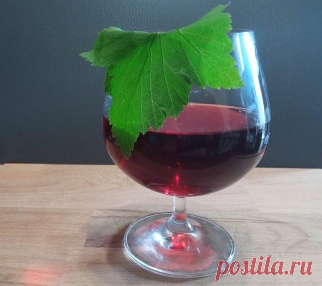 Смородиновая ратафия: готовим по рецепту домашних дворянских винокурен | Хобби'т | Яндекс Дзен