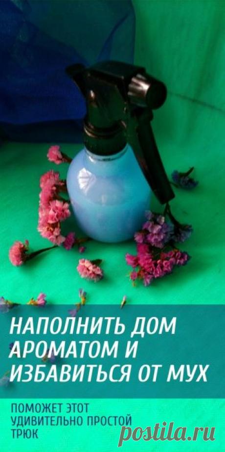 Удивительно простой трюк, который наполнит вашу кухню ароматом свежести и избавит от назойливых мух