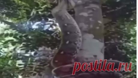 upload_253567587_file