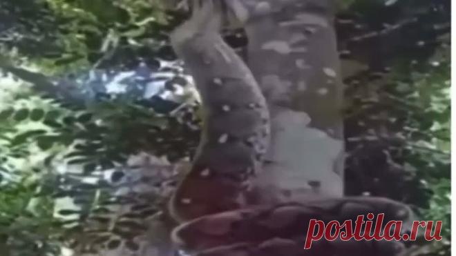 upload_253567587_file