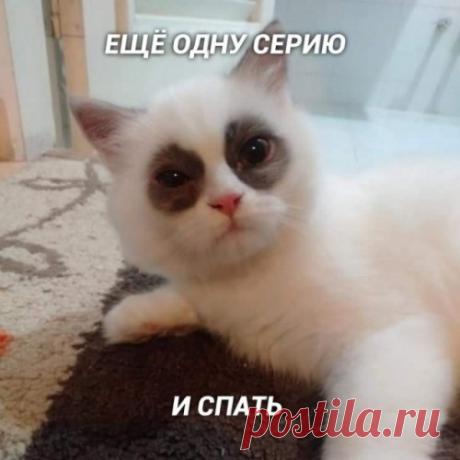 Подборка позитивных фото