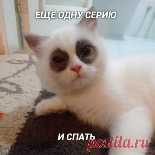 Подборка позитивных фото