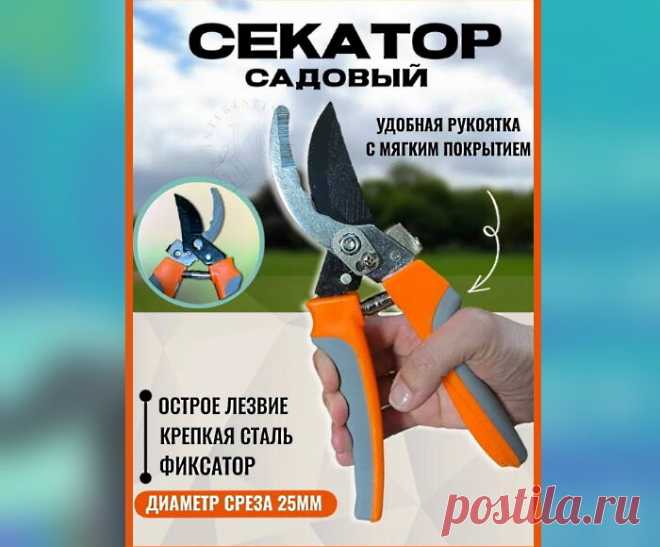 5 важных критериев выбора правильного секатора.