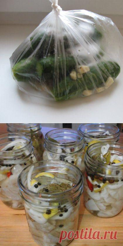 Как замариновать рыбу в уксусе: закуска из щуки