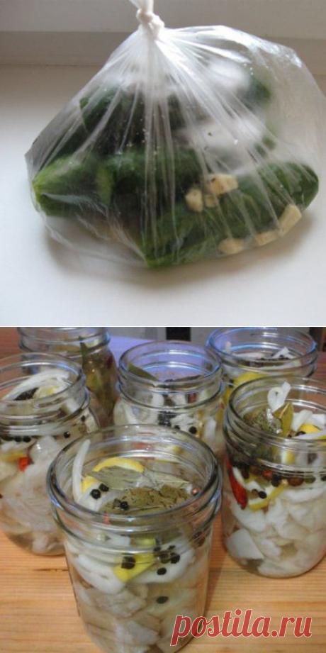 Как замариновать рыбу в уксусе: закуска из щуки