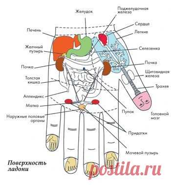 Самоисцеление. Простые техники для пальцев — Домашние заботы