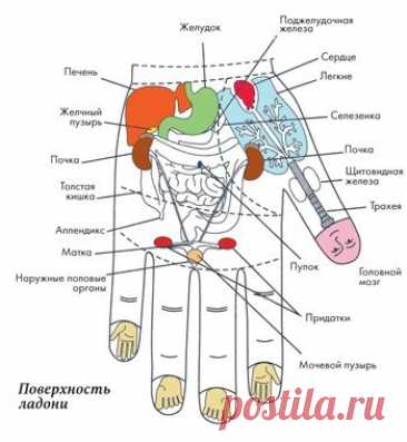 Самоисцеление. Простые техники для пальцев — Домашние заботы