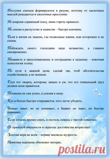 Афоризмы Черных Александра Дмитриевича (псевд. Сан Чад).
Стр. 26.