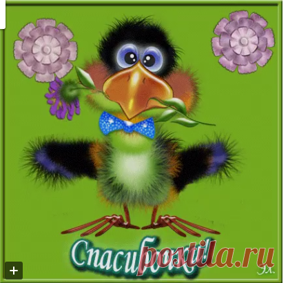 (19) Одноклассники