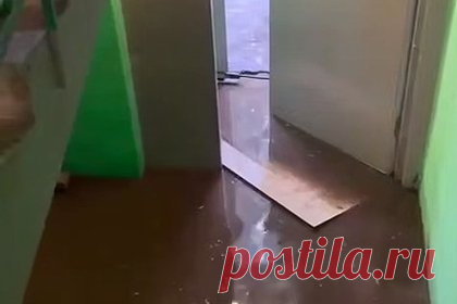 Жители дома в Подмосковье пожаловались на затопление подъезда