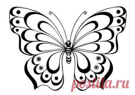 Трафареты бабочек