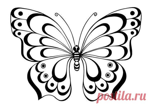 Трафареты бабочек