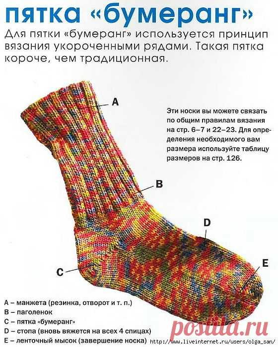 виды пяток.