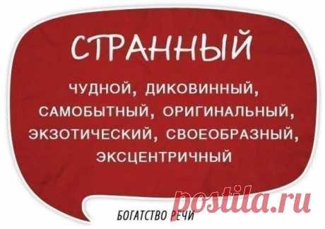 (3) Кирилл Лейцихович