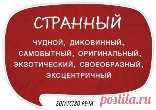 (3) Кирилл Лейцихович
