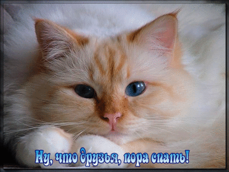 Картинки «Пора спать!» (32 фото) ⭐ Забавник