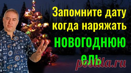 Весь 2025 год будет удачным - нарядите новогоднюю ёлку в эту дату | Мастер Владислав | Дзен