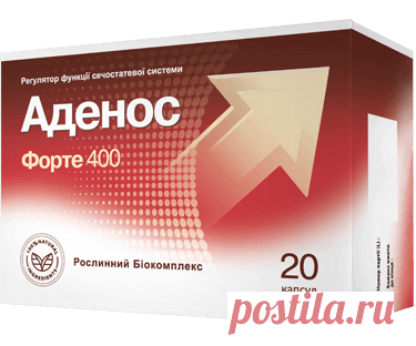 ПЯТЬ СЕКРЕТОВ СТОЙКОЙ ЭРЕКЦИИ