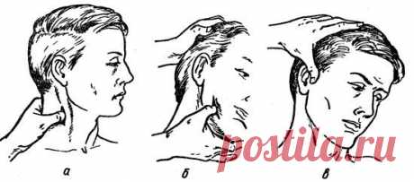 Точки прижатия артерий головы для остановки кровотечения.