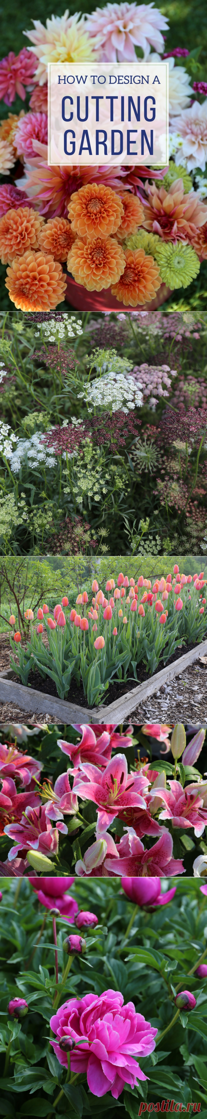 How to Design a Backyard Cutting Garden - Longfield Gardens