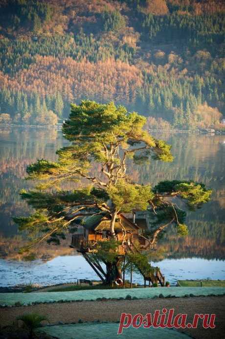 bonitavista:
“ Tree House Lodge, Loch Goil, Scotland
photo via woof
”