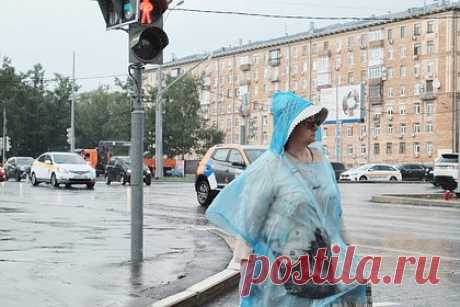 Москвичей предупредили о выпадении более половины месячной нормы осадков. За следующие трое суток в Москве выпадет более половины месячной нормы осадков. Об этом жителей столицы предупредил ведущий специалист центра погоды «Фобос» Евгений Тишковец. По словам синоптика, в ближайшие три дня ожидается выпадение до 38 миллиметров осадков, что составляет 54 процента от всей месячной нормы.