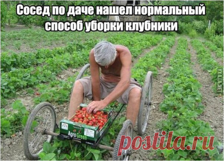 Журнал &quot;Дом в саду&quot; Присоединяйтесь!