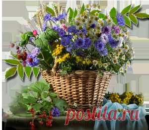 ♥ღ♥Правила этикета, которые должен знать каждый образованный человек♥ღ♥