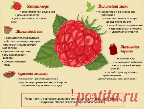 Тромбы — какие продукты рассасывают сгустки | Лечение в Домашних Условиях