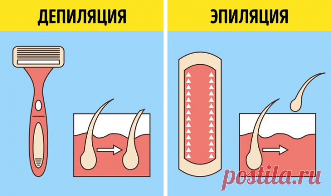 11 простых понятий, которые не должен путать образованный человек / Научный хит